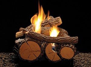 Log Set 1 Side-017321